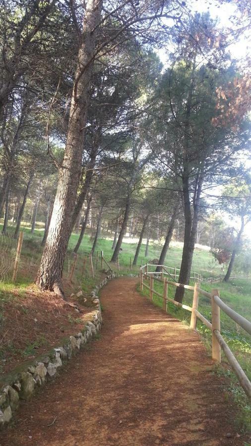 מלון אל גסטור El Duende Del Tejar מראה חיצוני תמונה